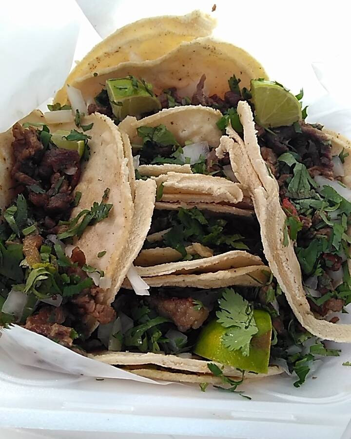 Tortilleria La Mexicana | restaurant | 701 E Hinson Ave, Haines City, FL 33844, USA | 8634221227 OR +1 863-422-1227