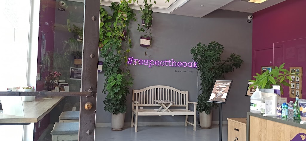 Oakberry | restaurant | 819-B State St, Santa Barbara, CA 93101, USA | 8052848540 OR +1 805-284-8540