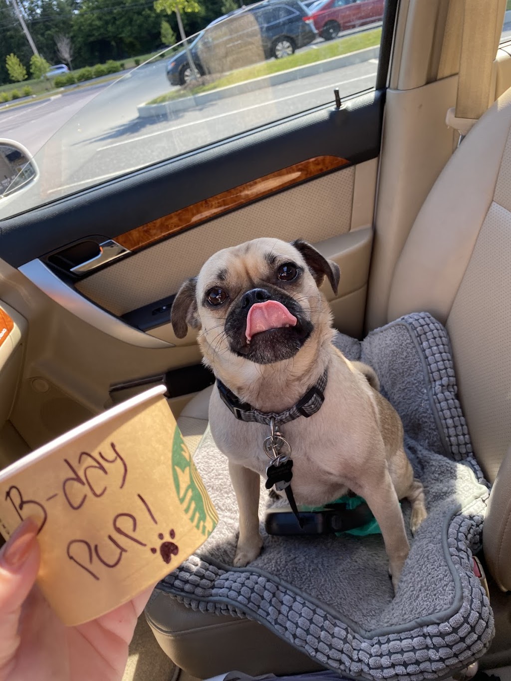 Starbucks | cafe | 1300 Christopher Pl Suite F-101, Lancaster, PA 17601, USA | 7174139043 OR +1 717-413-9043