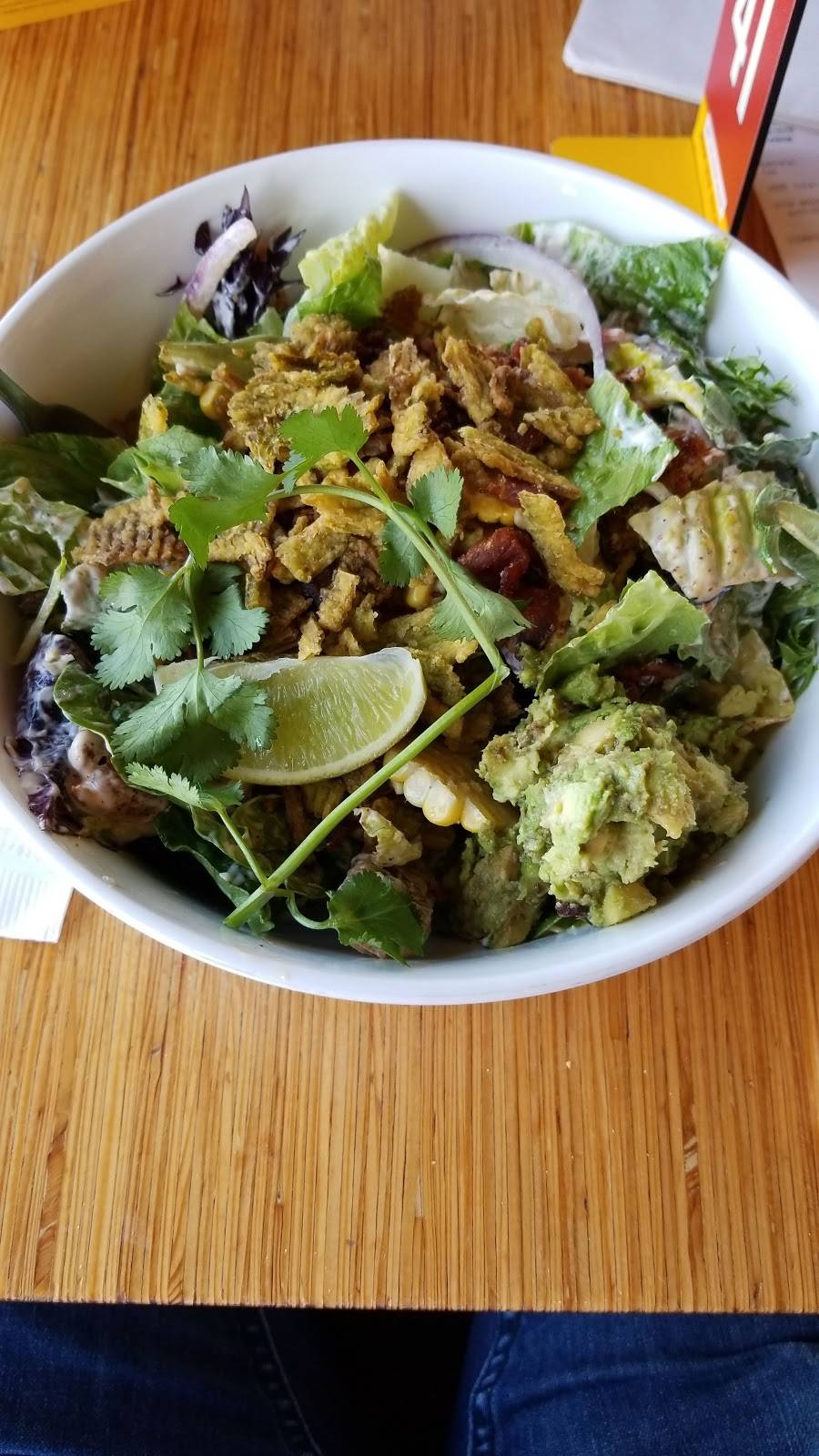 Noodles and Company | restaurant | 66 S Arlington Heights Rd, Arlington Heights, IL 60005, USA | 8475771500 OR +1 847-577-1500