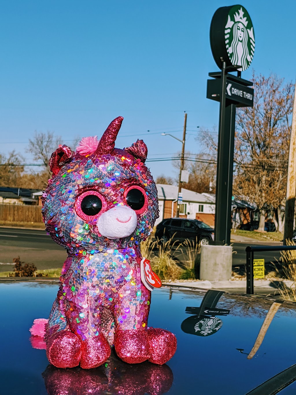 Starbucks | cafe | 3087 S Sheridan Blvd, Denver, CO 80227, USA | 7206934262 OR +1 720-693-4262