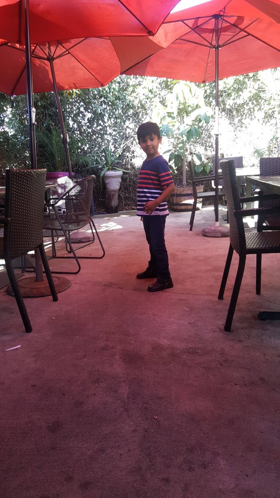 Arthurs Garden | restaurant | 1240 S Hooper Ave, Los Angeles, CA 90021, USA | 2137457210 OR +1 213-745-7210