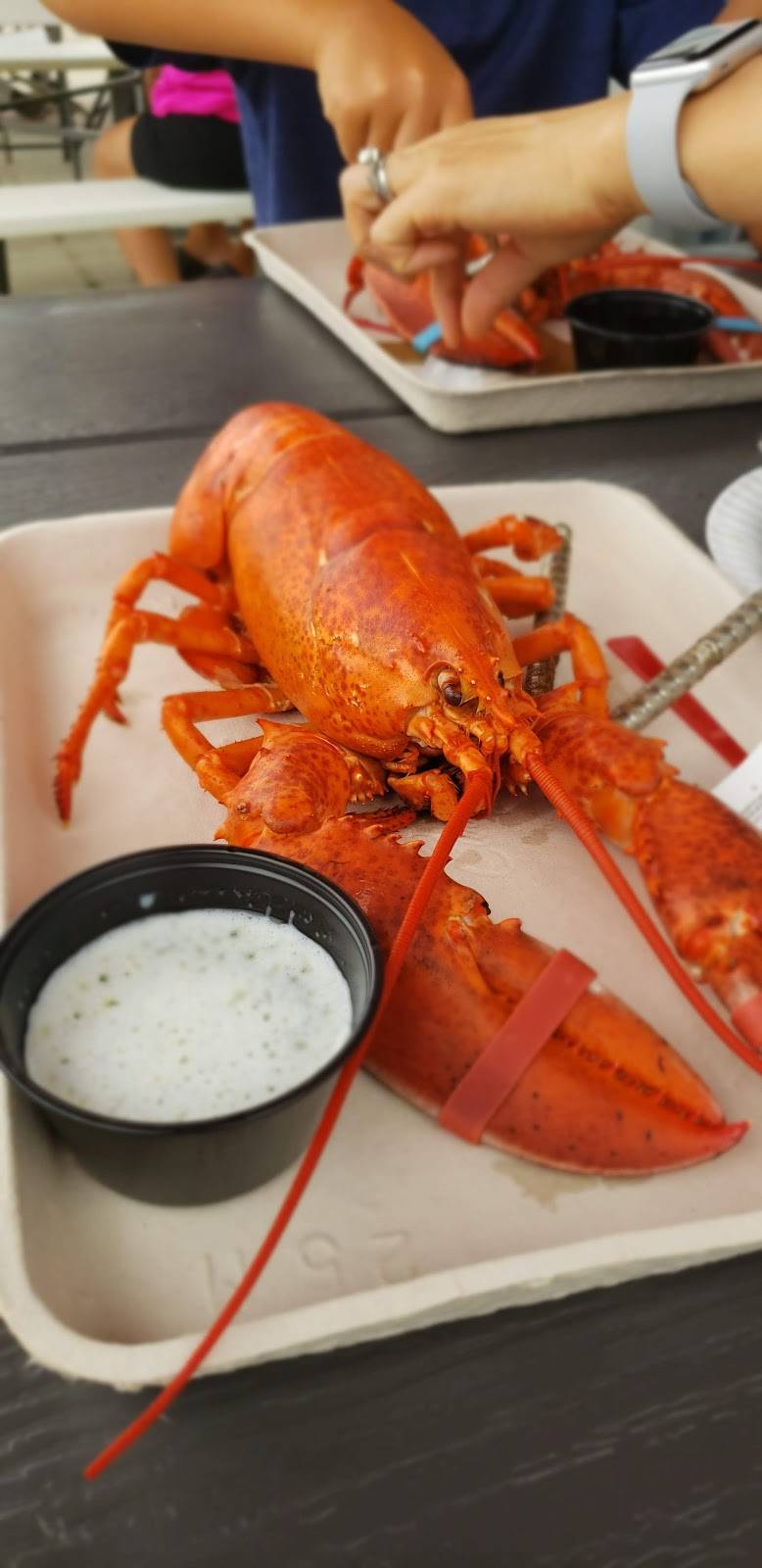 Rye Harbor Lobster | restaurant | 1870 Ocean Blvd, Rye, NH 03870, USA | 6039647845 OR +1 603-964-7845