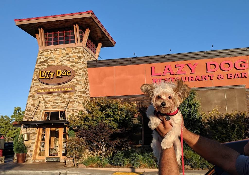 Lazy Dog Restaurant & Bar | restaurant | 1202 Camino Del Rio N, San Diego, CA 92108, USA | 6194816191 OR +1 619-481-6191