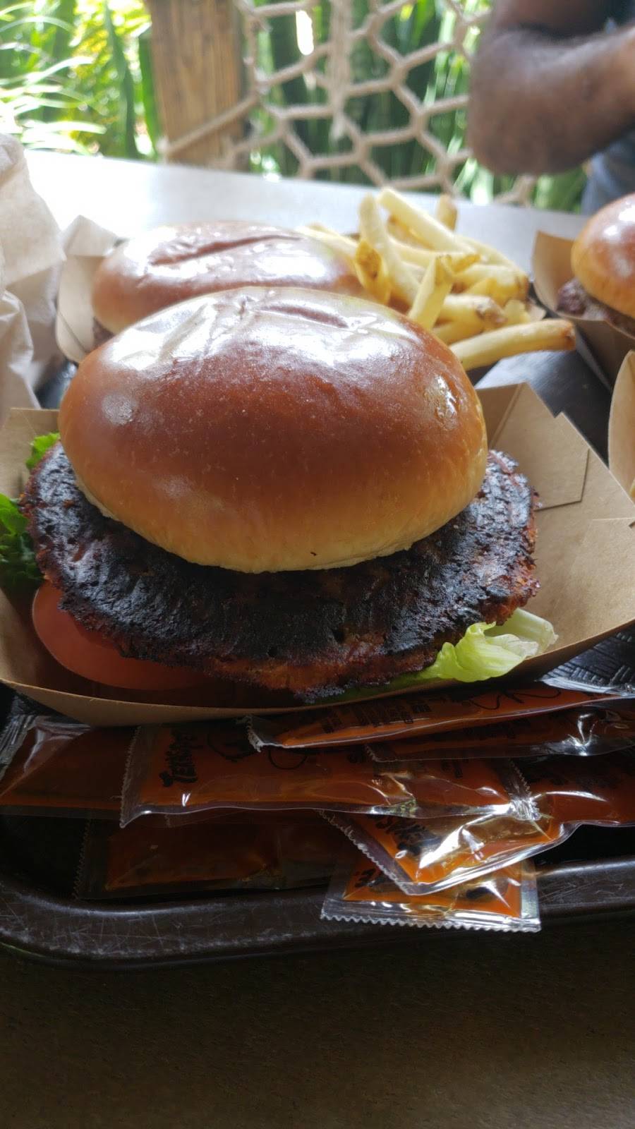 Leaning Palms | night club | Disneys Typhoon Lagoon, Orlando, FL 32830, USA | 4079393463 OR +1 407-939-3463