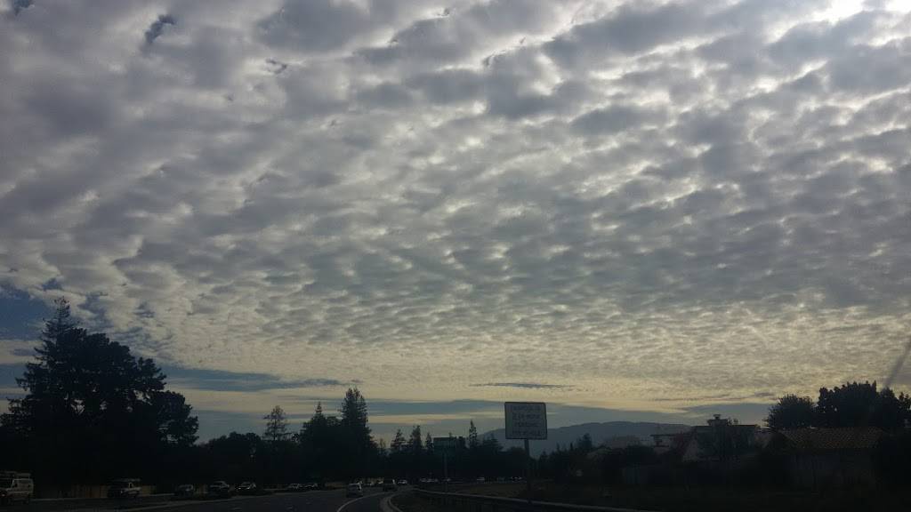 West Park Plaza | shopping mall | 1303 S Winchester Blvd, San Jose, CA 95128, USA | 9252791800 OR +1 925-279-1800