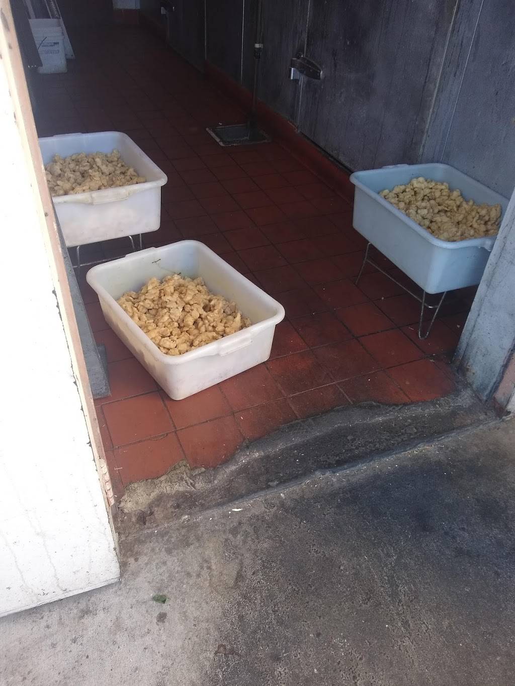 China Panda Restaurant | restaurant | 272 E Hwy 246, Buellton, CA 93427, USA | 8056881291 OR +1 805-688-1291