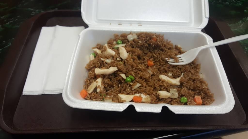 Hunan Wok | restaurant | 382 E Dania Beach Blvd, Dania Beach, FL 33004, USA | 9549206668 OR +1 954-920-6668