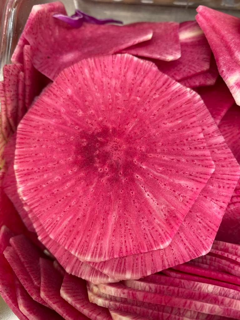 Fancy Plants Salad Co. | restaurant | 5650 Stirling Rd, Hollywood, FL 33021, USA | 7863056688 OR +1 786-305-6688