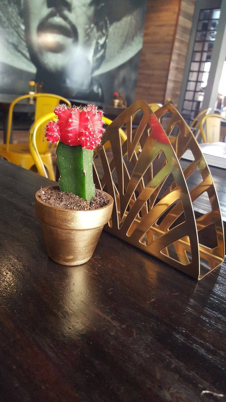 El Indio Botanas y Cerveza | restaurant | 309 W 3rd St, Santa Ana, CA 92701, USA | 7145477868 OR +1 714-547-7868