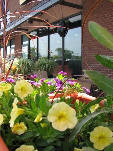 OR by Falafel Bar | restaurant | 3545 Sheridan Dr, Buffalo, NY 14226, USA | 7164367000 OR +1 716-436-7000