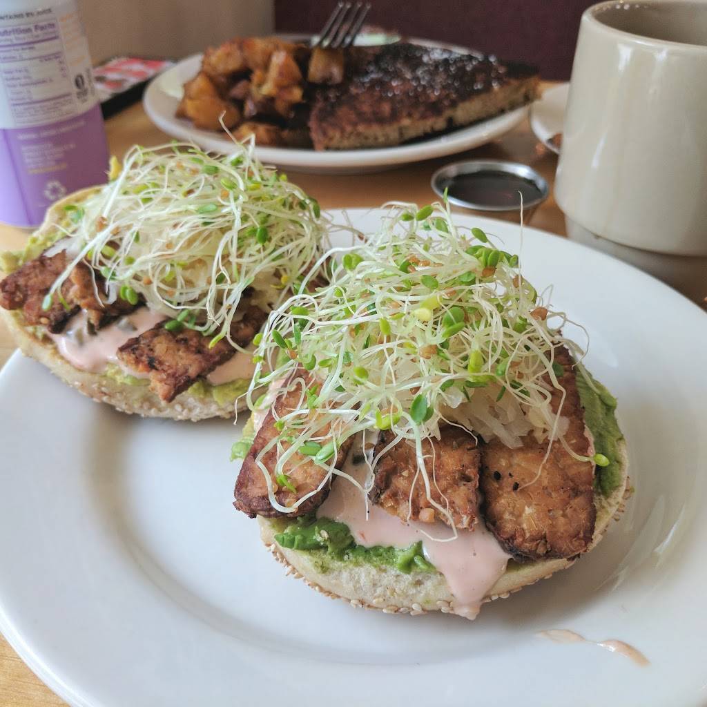 Cafe Evolution | cafe | 22 Chestnut St, Florence, MA 01062, USA | 4135860200 OR +1 413-586-0200