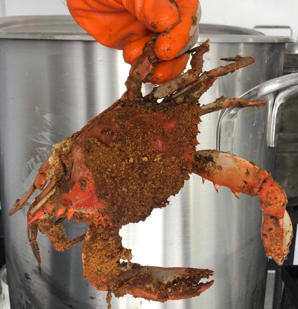 Pisces Crab & Seafood | restaurant | 1448 Martin Blvd, Middle River, MD 21220, USA | 4432316267 OR +1 443-231-6267