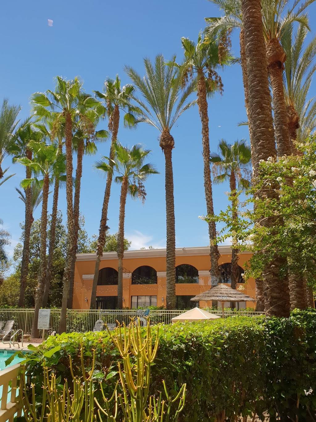 California Grill Restaurant & Cantina | restaurant | 12021 Harbor Blvd, Garden Grove, CA 92840, USA | 7148675555 OR +1 714-867-5555