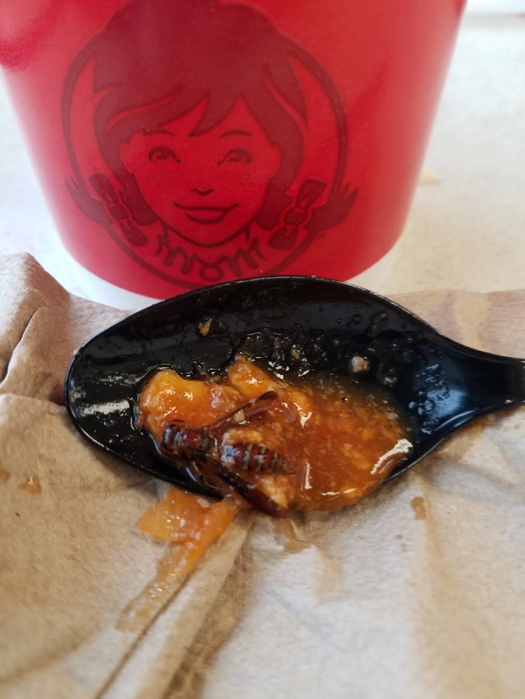 Wendys | restaurant | 1204 N State of Franklin Rd, Johnson City, TN 37604, USA | 4239284169 OR +1 423-928-4169