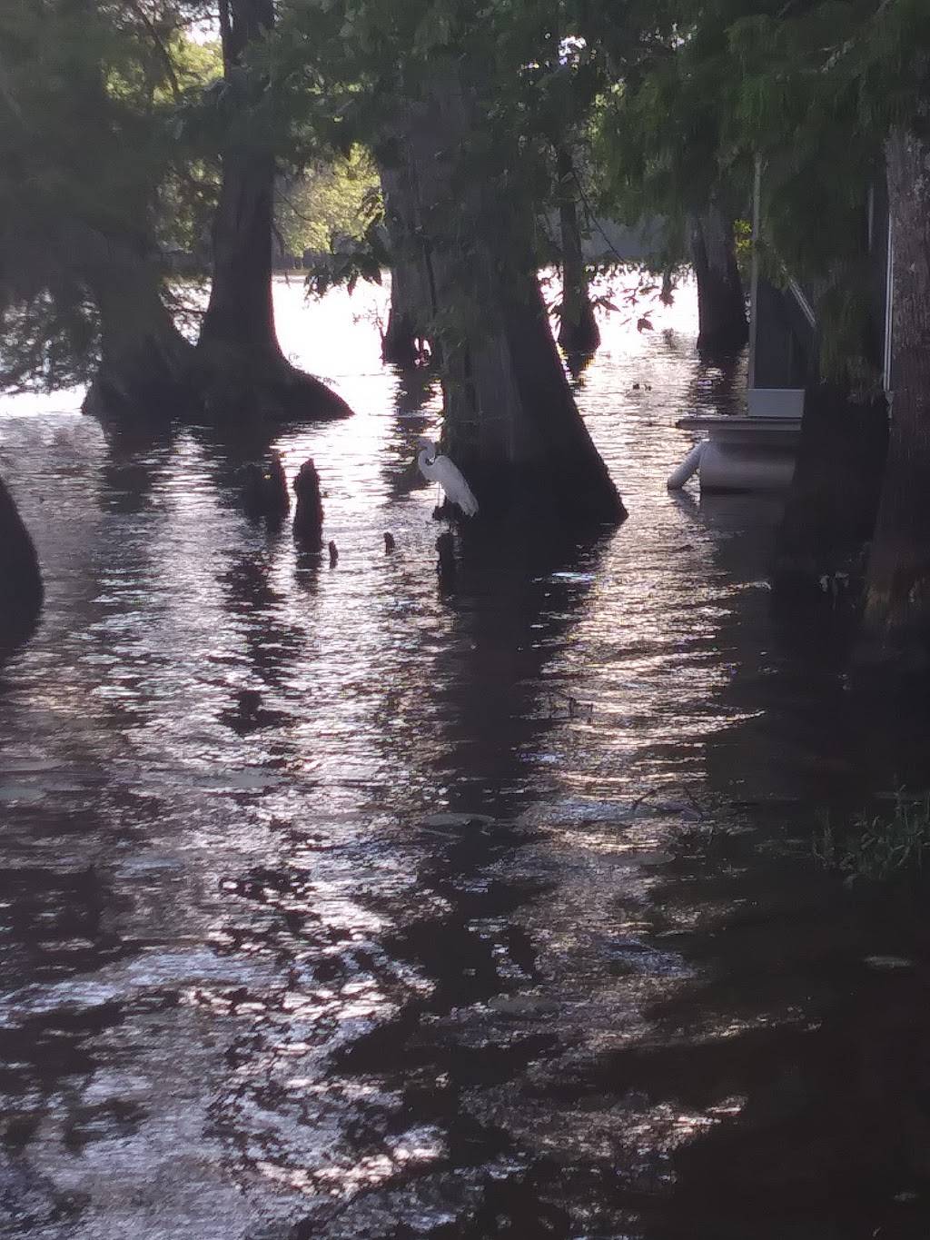 Tickfaw Boopalus | restaurant | 31995 LA-22, Springfield, LA 70462, USA | 2252940144 OR +1 225-294-0144