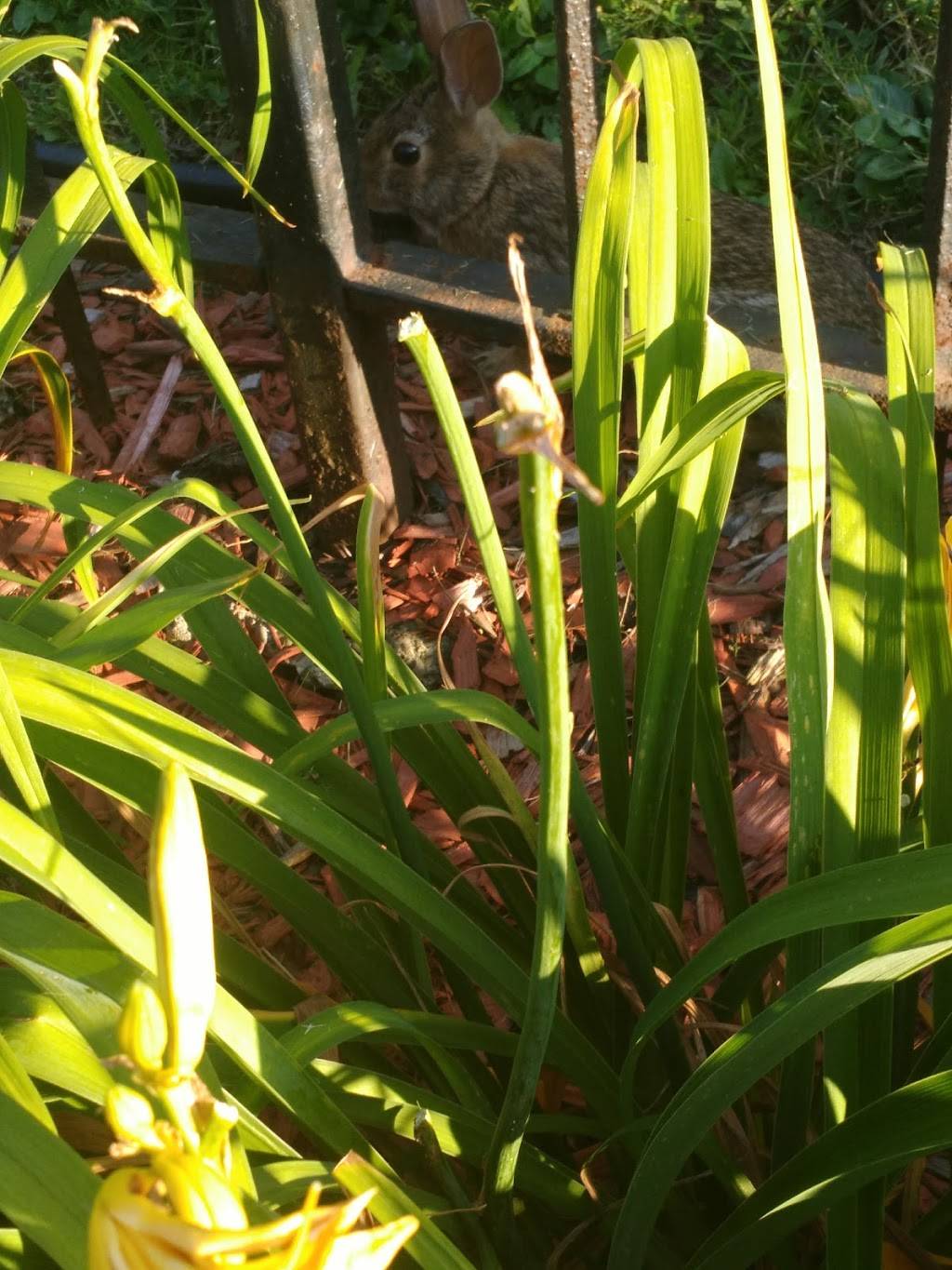 Clubhouse Fun Center (Greece) | restaurant | 3340 W Ridge Rd, Greece, NY 14626, USA | 5852255093 OR +1 585-225-5093