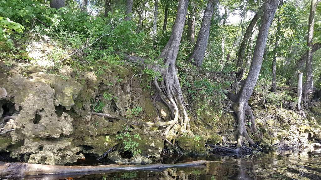 Moons Rock Bluff | restaurant | 3868 NW 67th Terrace, Bell, FL 32619, USA | 3869352002 OR +1 386-935-2002