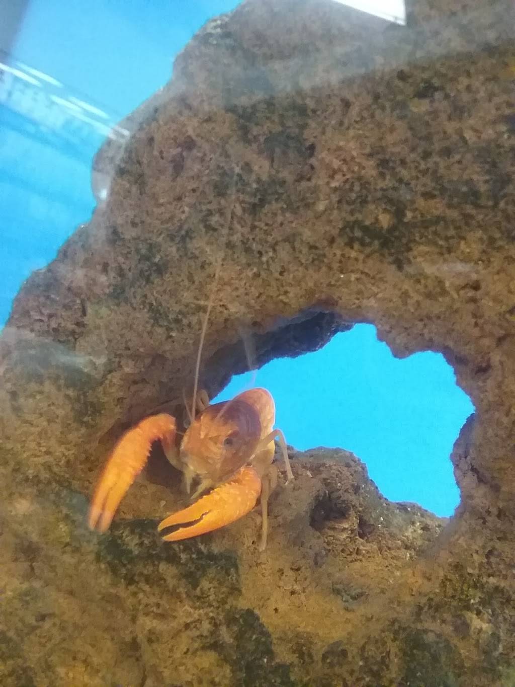 The Marketplace | shopping mall | 1411 W Covell Blvd, Davis, CA 95616, USA | 9252791800 OR +1 925-279-1800