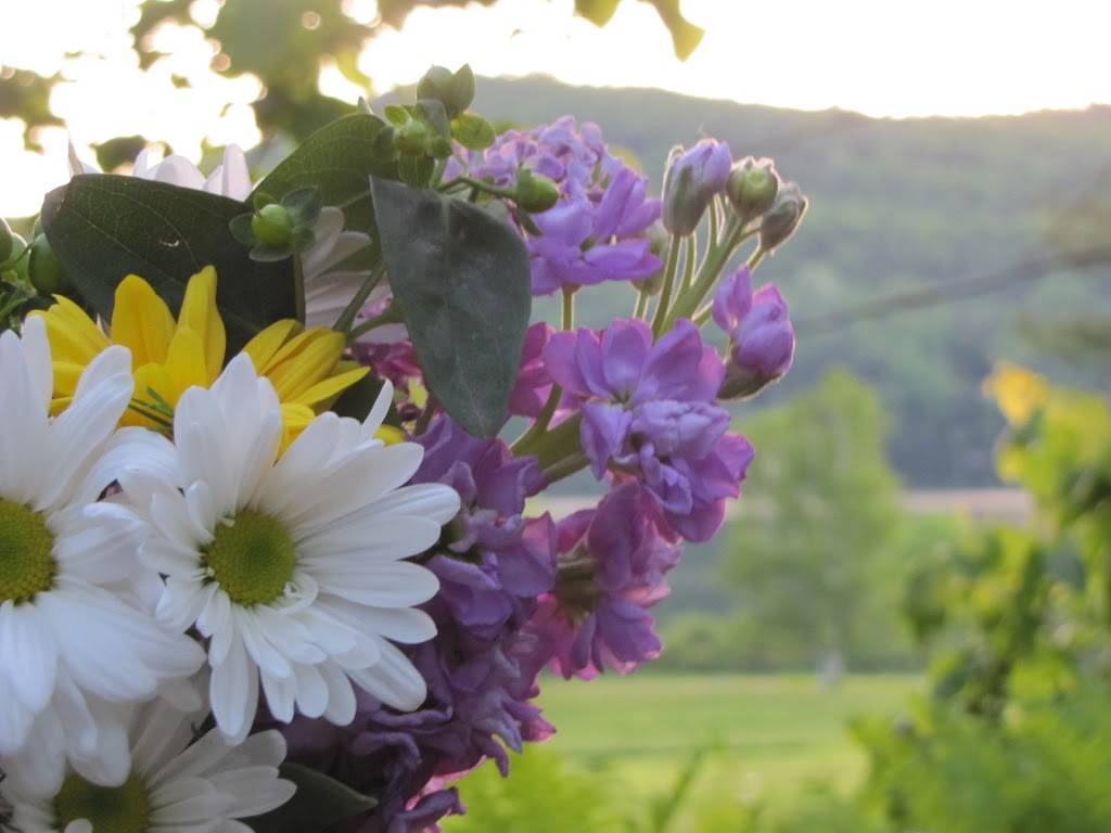 Loch Lyme Lodge, B&B and Cabins | restaurant | 70 Orford Rd, Lyme, NH 03768, USA | 6037952141 OR +1 603-795-2141