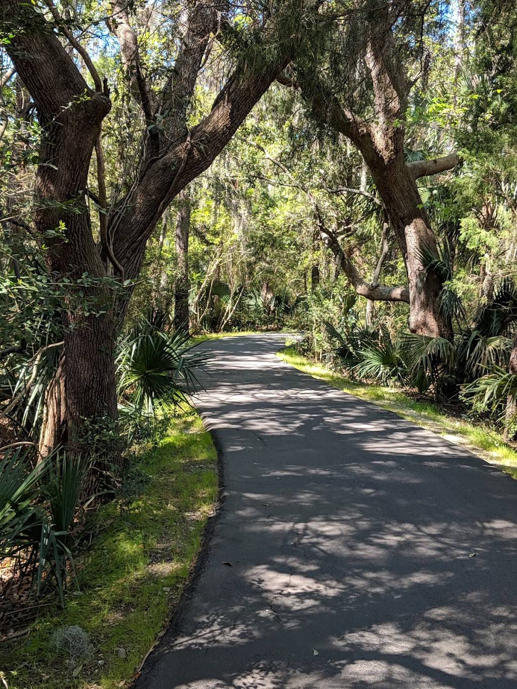 Palmetto Islands County Park | meal takeaway | 444 Needlerush Pkwy, Mt Pleasant, SC 29464, USA | 8437954386 OR +1 843-795-4386