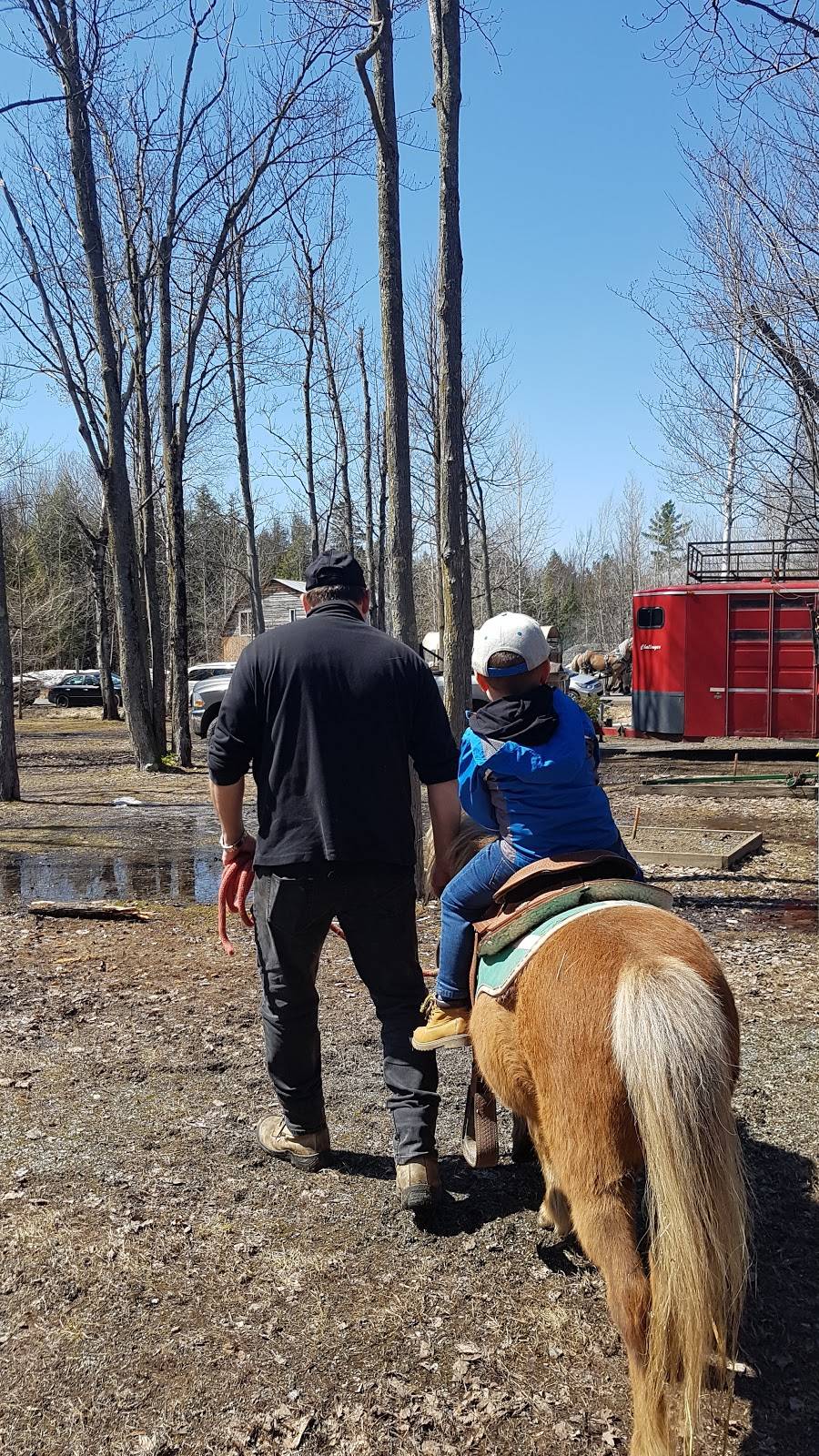 Aux délices des saisons | restaurant | 875 Rang du Brûlé, Saint-Roch-de-Richelieu, QC J0L 2M0, Canada | 4505872465 OR +1 450-587-2465