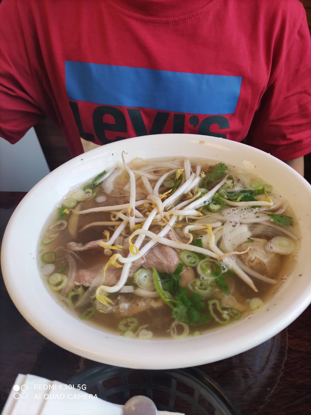 Lee Kitchen (Pho Real) | restaurant | 274 E Travelers Trail, Burnsville, MN 55337, USA | 9528908881 OR +1 952-890-8881