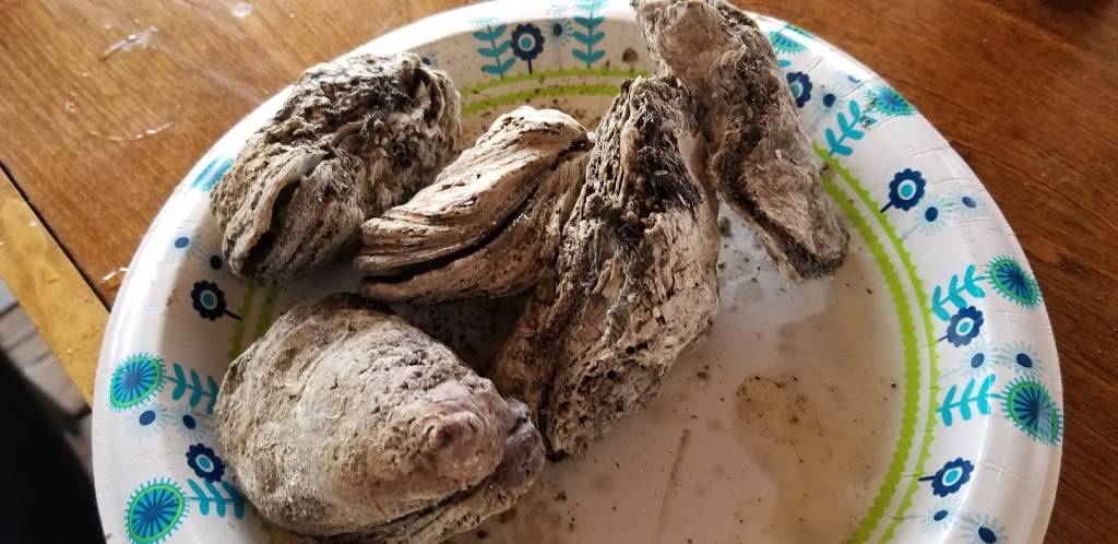 No Name Saloon | restaurant | 2001 S Ridgewood Ave, Edgewater, FL 32141, USA | 3864289229 OR +1 386-428-9229