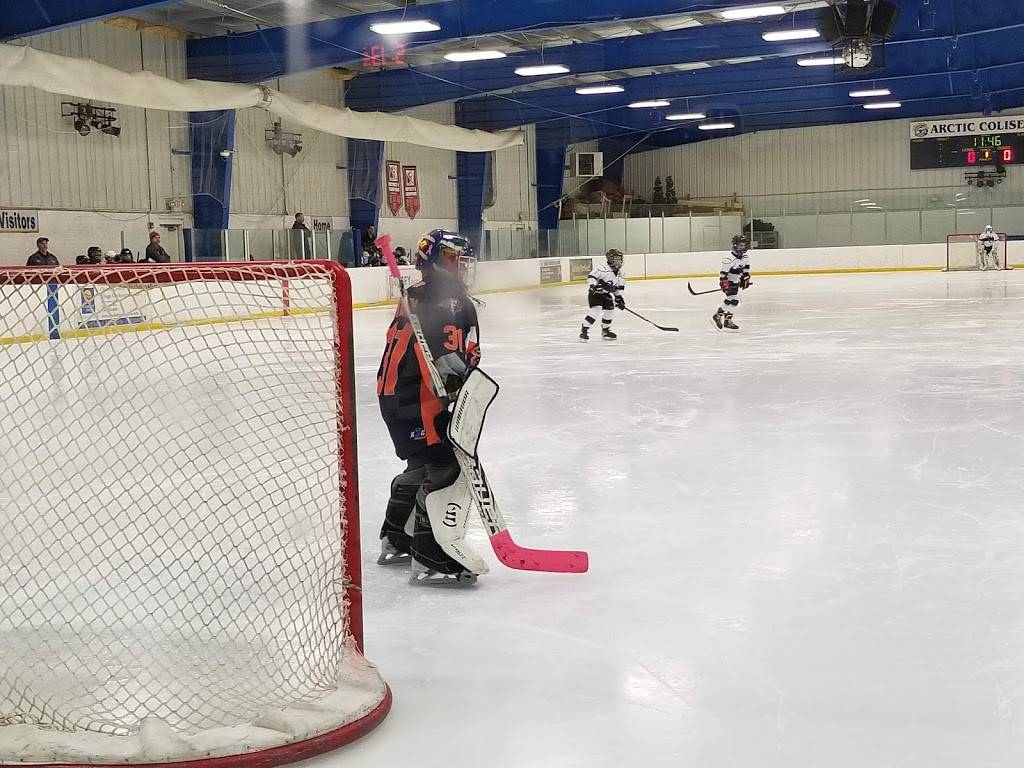 Arctic Coliseum Inc | restaurant | 501 Coliseum Dr, Chelsea, MI 48118, USA | 7344334444 OR +1 734-433-4444
