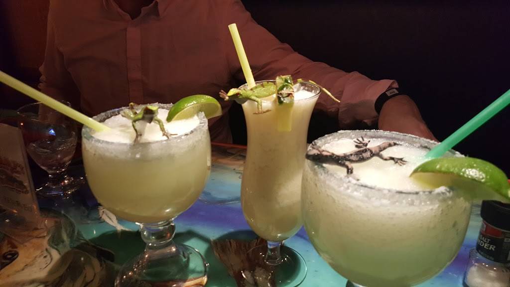 Jimmys Island Grill & Iguana Bar | restaurant | 2303 N Mayfair Rd, Wauwatosa, WI 53226, USA | 4148372121 OR +1 414-837-2121