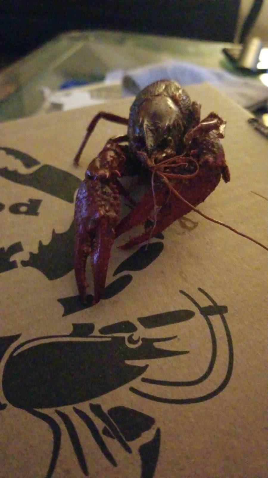 The Seafood Boiler | restaurant | 2804 Grand Point Hwy, Breaux Bridge, LA 70517, USA | 3376676025 OR +1 337-667-6025