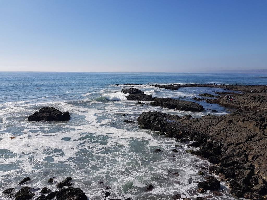 Mariscos Anarbol | restaurant | Rosarito, Baja California, Mexico | 016616881194 OR +52 661 688 1194