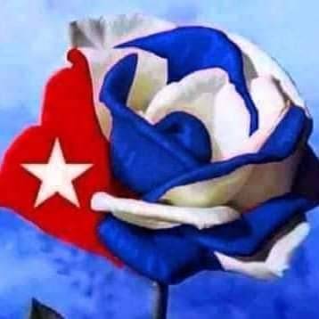 Viva Cuba | restaurant | 7919 Westheimer Rd, Houston, TX 77063, USA | 3464020346 OR +1 346-402-0346