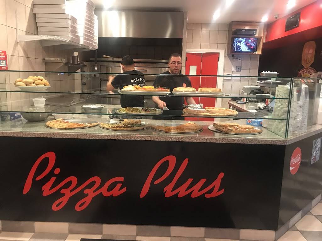 Pizza Plus | restaurant | 15 Village Ave, Elmont, NY 11003, USA | 5164377587 OR +1 516-437-7587