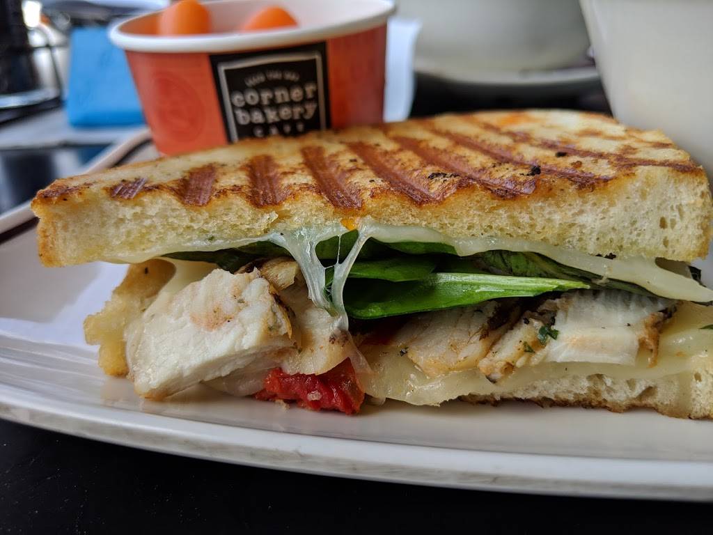 Corner Bakery Cafe | cafe | 2326 W Brandon Blvd, Brandon, FL 33511, USA | 8139823073 OR +1 813-982-3073