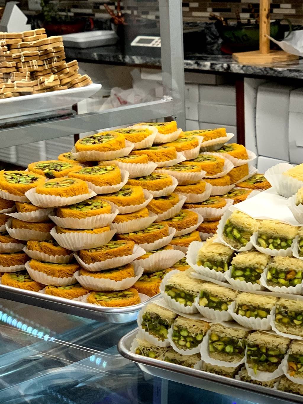 Oasis kitchen مطعم الواحة | restaurant | 13210 Michigan Ave, Dearborn, MI 48126, USA | 3132890222 OR +1 313-289-0222