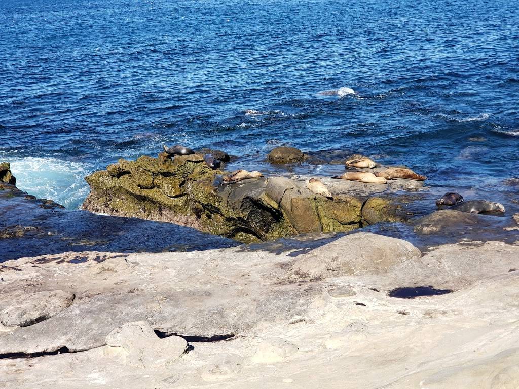 Potbelly Sandwich Shop | restaurant | 326 14th Ave SE, Minneapolis, MN 55414, USA | 6123310191 OR +1 612-331-0191