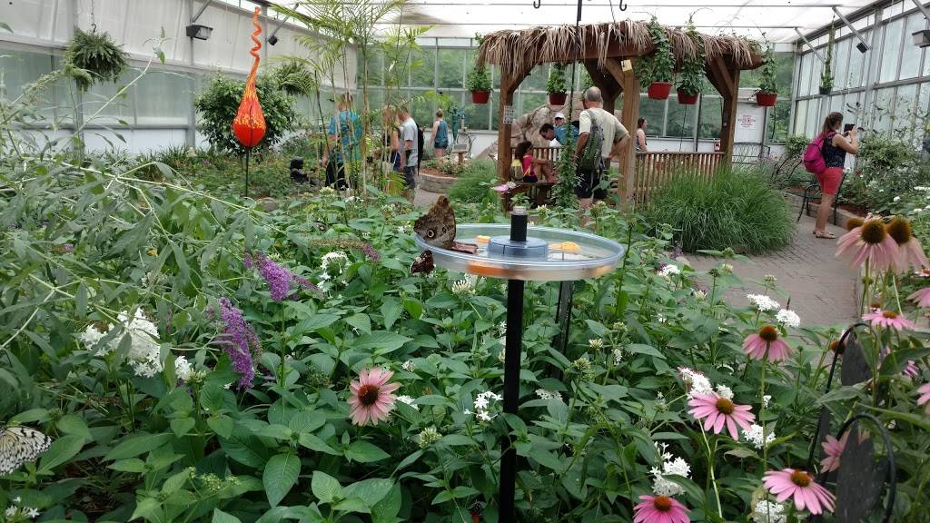 Perrys Cave Family Fun Center | restaurant | 979 Catawba Ave, Put-In-Bay, OH 43456, USA | 4192852283 OR +1 419-285-2283