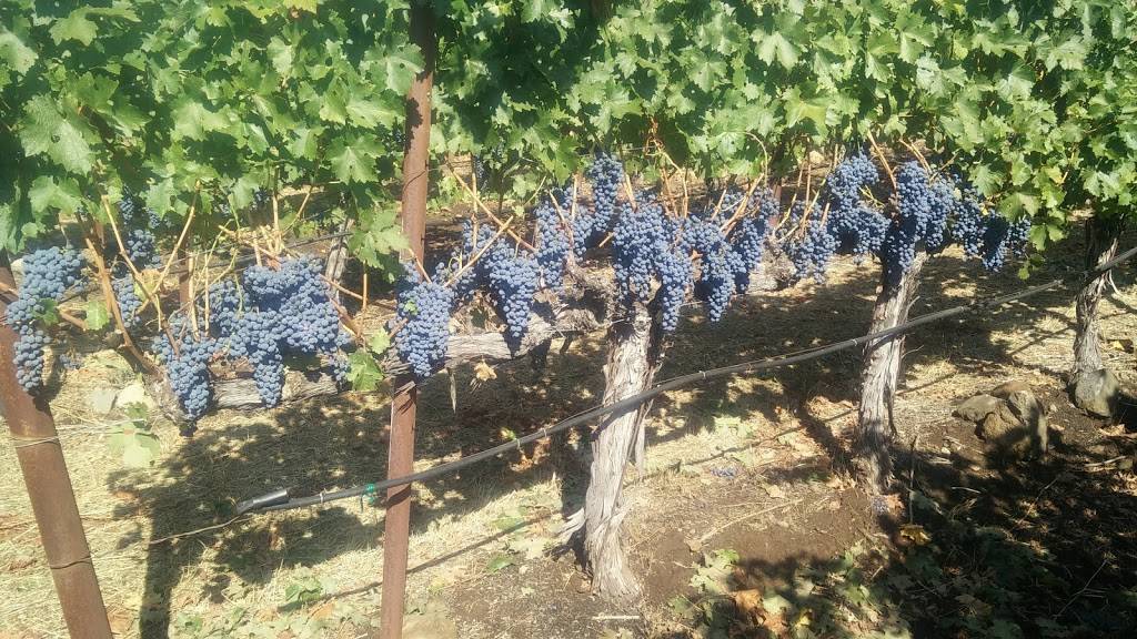 Bravante Vineyards | restaurant | 300 Stone Ridge Rd, Angwin, CA 94508, USA | 7079652552 OR +1 707-965-2552