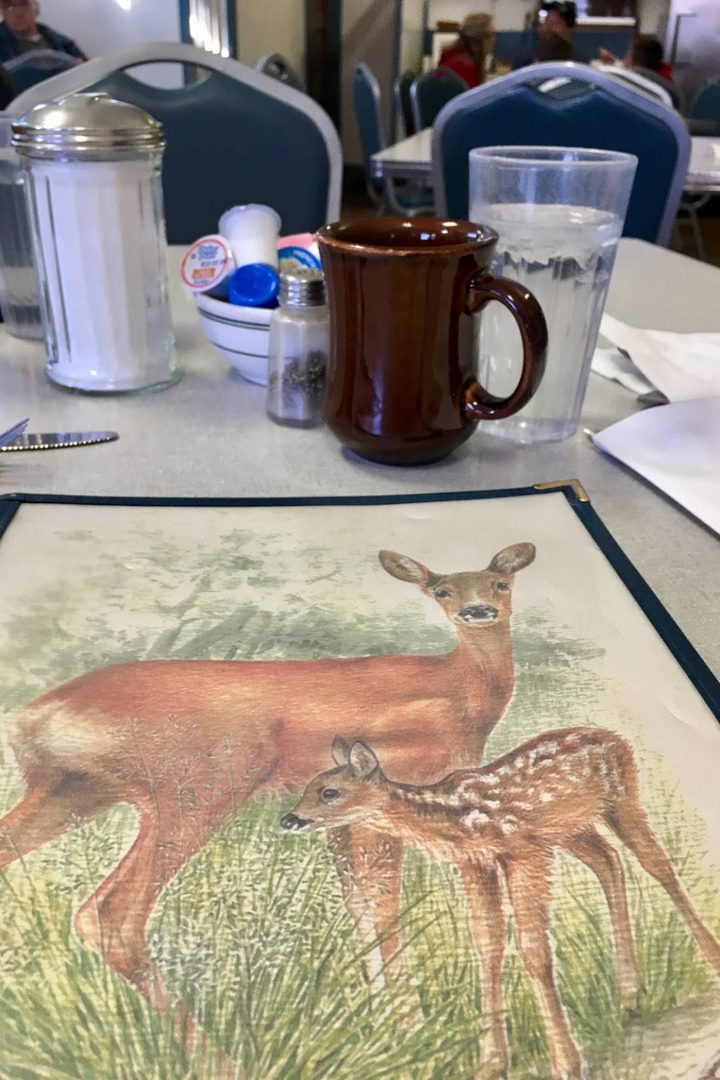 Edgewater Cafe | restaurant | 101 N Water St, Albany, WI 53502, USA | 6088623396 OR +1 608-862-3396