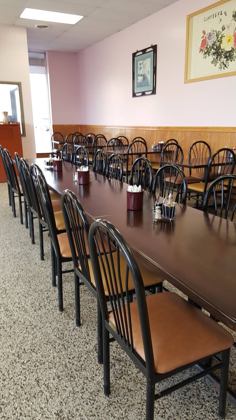 Hot Wok | restaurant | 424 N 2nd St, Niles, MI 49120, USA | 2696875288 OR +1 269-687-5288