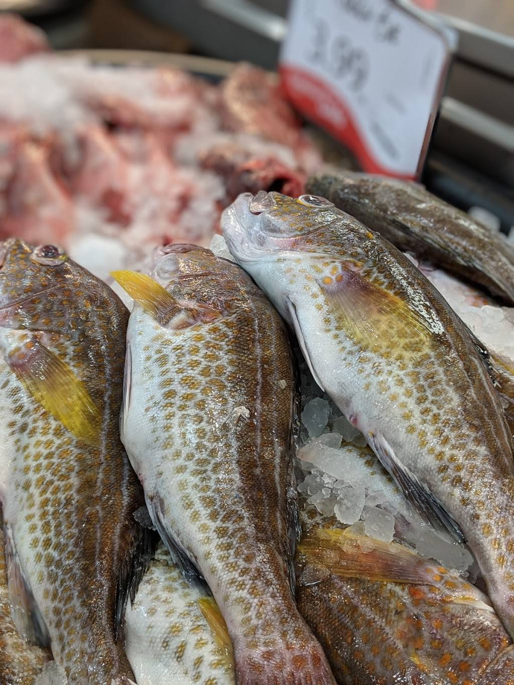 Seafood City Supermarket | bakery | 8231 Woodman Ave, Panorama City, CA 91402, USA | 8189945553 OR +1 818-994-5553