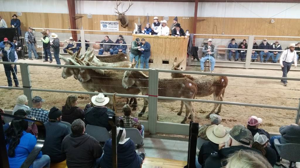Kalona Sales Barn Lunchroom | restaurant | 121 9th St, Kalona, IA 52247, USA | 3196562222 OR +1 319-656-2222