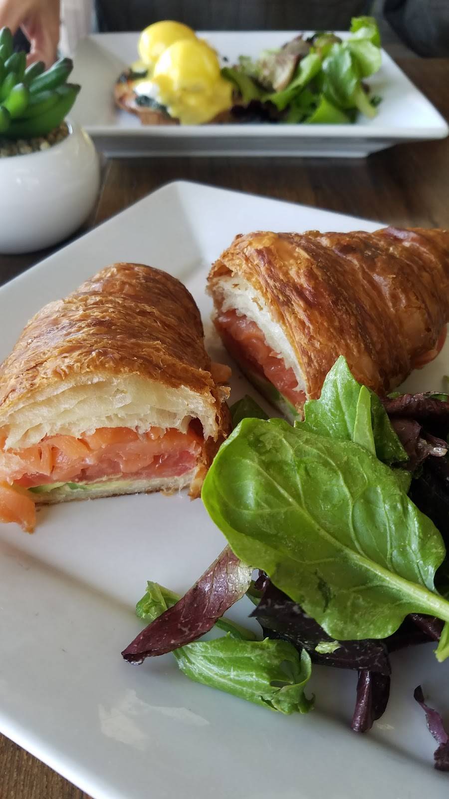 Ô Gourmet French Café & Bakery | bakery | 32341 Camino Capistrano, San Juan Capistrano, CA 92675, USA | 9493885811 OR +1 949-388-5811