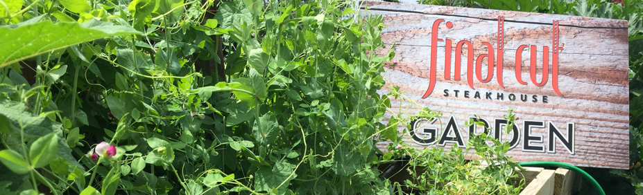 Final Cut Steakhouse | restaurant | 750 Hollywood Dr, Charles Town, WV 25414, USA | 8007957001 OR +1 800-795-7001