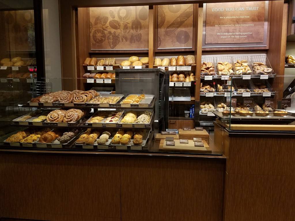 Panera Bread | cafe | 7242 Gall Blvd, Zephyrhills, FL 33541, USA | 8137808483 OR +1 813-780-8483