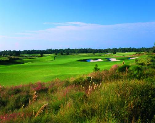 Golf Club of the Everglades | restaurant | 8835 Vanderbilt Beach Rd, Naples, FL 34120, USA | 2393544727 OR +1 239-354-4727
