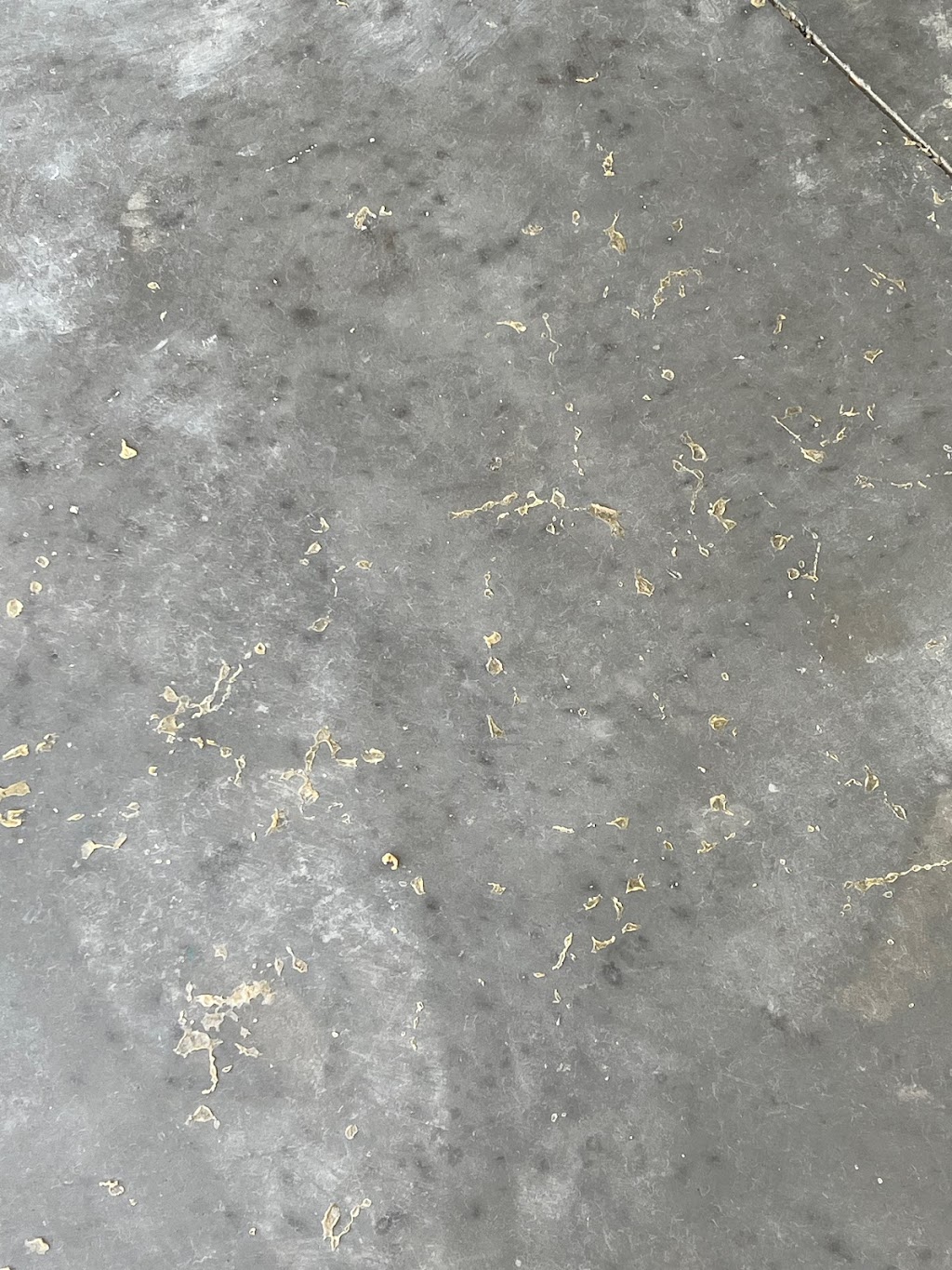 El Palenque Restaurant & Cantina | restaurant | 1915 W Pensacola St, Tallahassee, FL 32304, USA | 8507650180 OR +1 850-765-0180