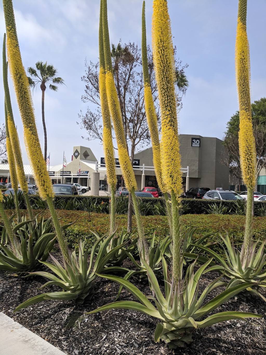 Jimmy Johns | meal delivery | 30 Centerpointe Dr Ste. 14, La Palma, CA 90623, USA | 7147358222 OR +1 714-735-8222