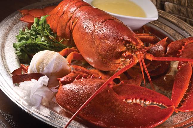 Council Oak Steaks & Seafood (in Seminole Hard Rock) | restaurant | 5223 Orient Rd, Tampa, FL 33610, USA | 8136277600 OR +1 813-627-7600